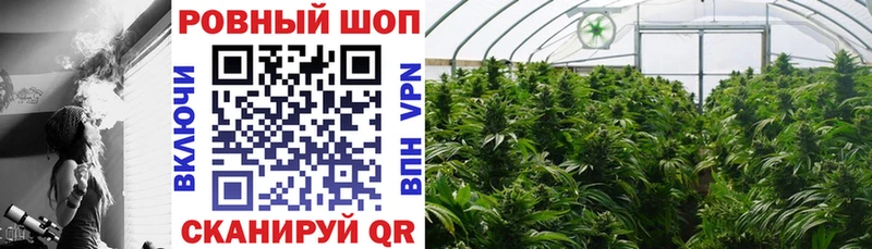 Магазины продажи наркотиков Кольчугино Конопля  COCAIN  Гашиш  kraken как войти  ЭКСТАЗИ  Мефедрон  СОЛЬ 