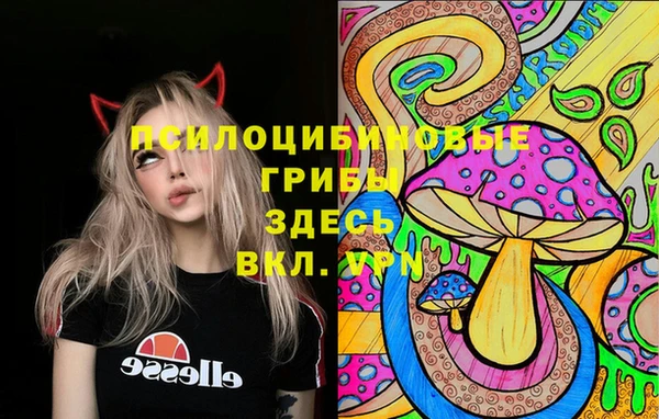 a pvp Алзамай