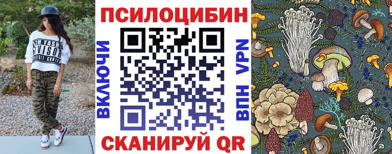 Псилоцибиновые грибы GOLDEN TEACHER Кольчугино