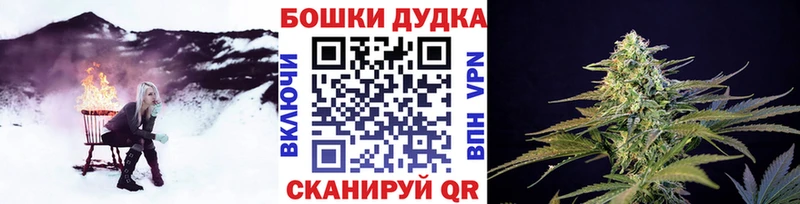 MEGA как войти  Кольчугино  Шишки марихуана White Widow 